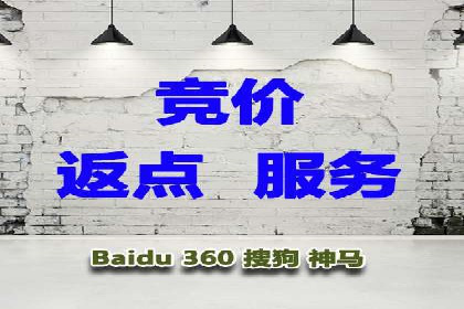 百度推广代理商的客户案例：从零到一的突破